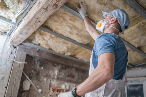 Best Batt and Roll Insulation  in Lavallette, NJ